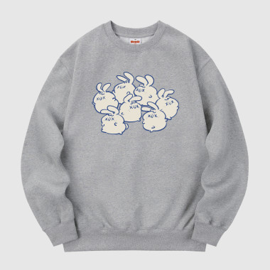 the rabbits sweatshirt gray